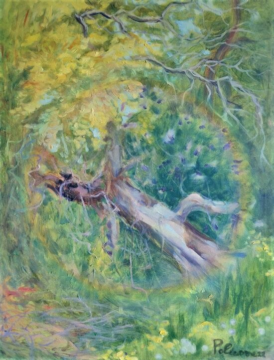 Maijs - 60x80 cm